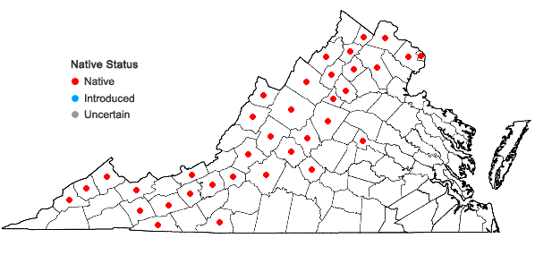 Locations ofThalictrum coriaceum (Britt.) Small in Virginia