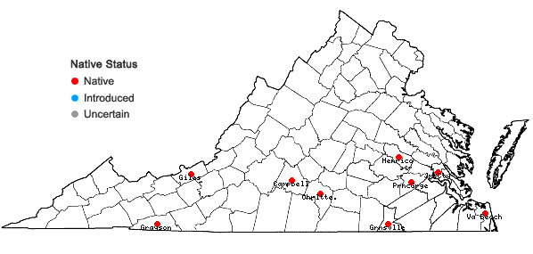 Locations ofThalictrum macrostylum Small & Heller in Virginia