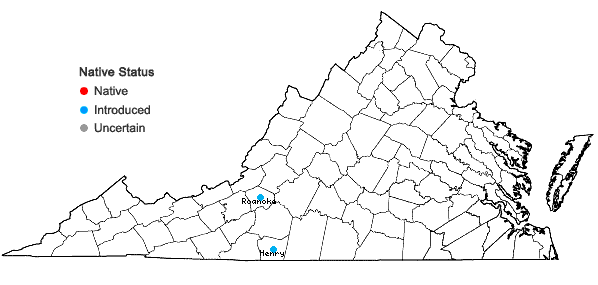 Locations ofThermopsis villosa (Walt.) Fern. & Schub. in Virginia