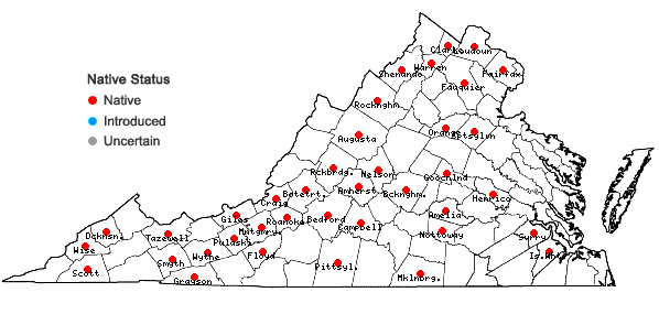 Locations ofTilia americana L. var. heterophylla (Vent.) Loud. in Virginia