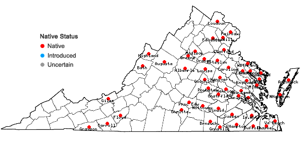 Locations ofToxicodendron vernix (L.) Kuntze in Virginia