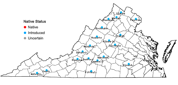 Locations ofTragopogon porrifolius L. in Virginia