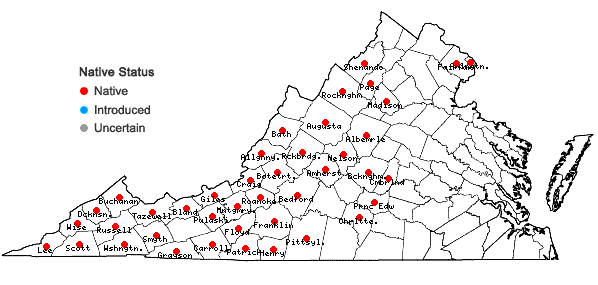 Locations ofTrautvetteria caroliniensis (Walt.) Vail in Virginia