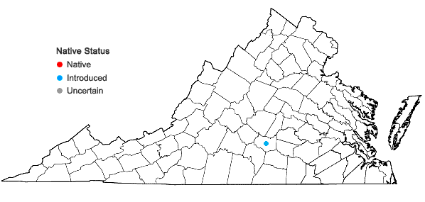 Locations ofTrifolium hirtum All. in Virginia