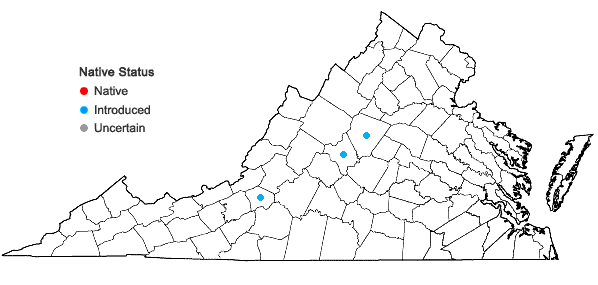 Locations ofTrillium cuneatum Raf. in Virginia