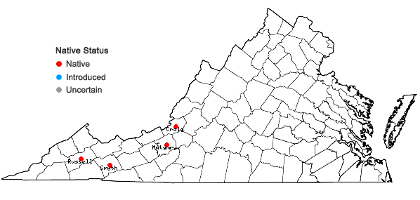 Locations ofTurritis glabra L. in Virginia
