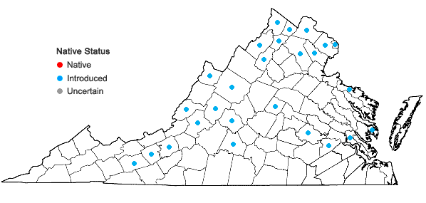 Locations ofUrtica dioica L. in Virginia