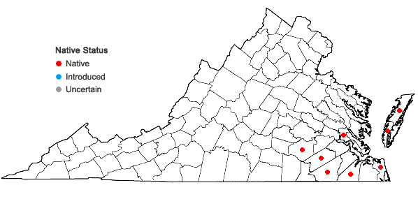 Locations ofUtricularia juncea Vahl in Virginia