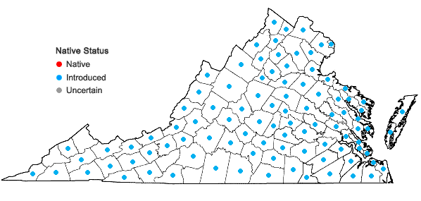 Locations ofVerbascum blattaria L. in Virginia