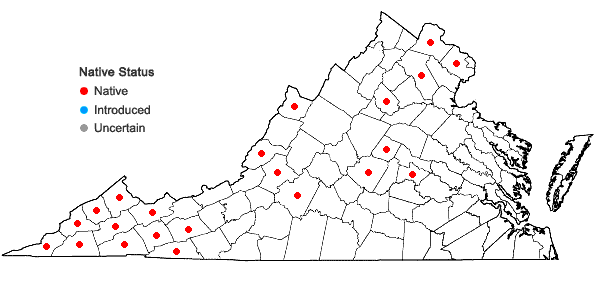 Locations ofVernonia gigantea (Walt.) Trel. ex Brann. & Cov. in Virginia
