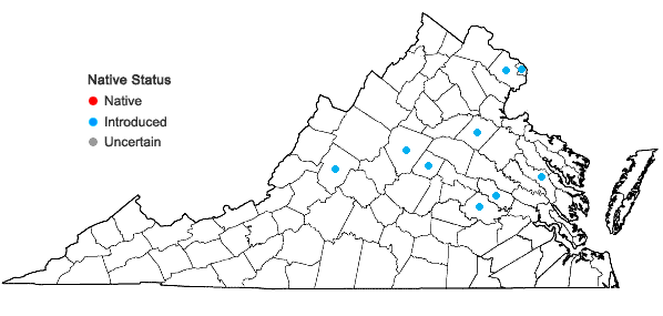 Locations ofViburnum dilatatum Thunberg in Virginia