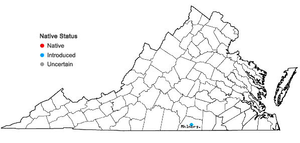 Locations ofVigna luteola (Jacq.) Benth. in Virginia