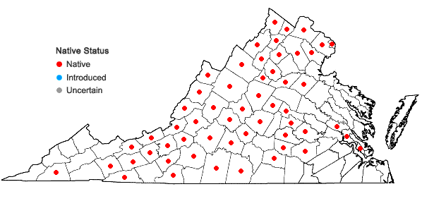 Locations ofViola fimbriatula J.E. Smith in Virginia