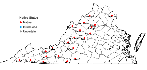 Locations ofViola minuscula Greene in Virginia