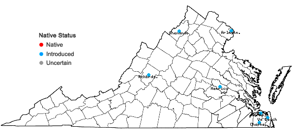 Locations ofViola tricolor L. in Virginia