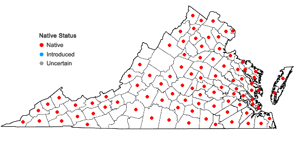 Locations ofXanthium strumarium L. in Virginia