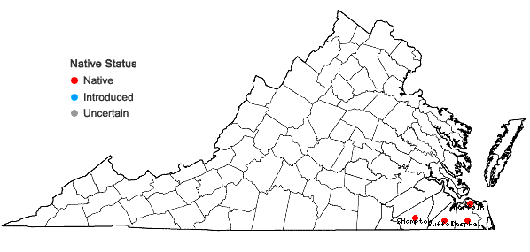 Locations ofXyris fimbriata Elliott in Virginia