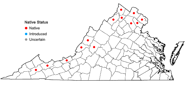 Locations ofZanthoxylum americanum P. Mill. in Virginia