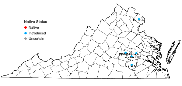 Locations ofZelkova serrata (Thunb.) Makino in Virginia
