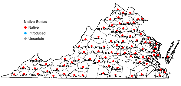 Locations ofAcer saccharinum L. in Virginia