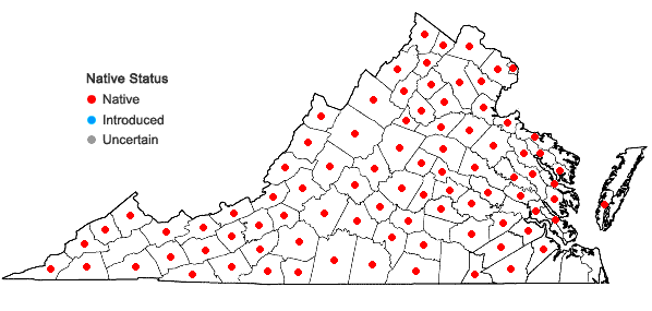 Locations ofAgeratina altissima (L.) King & H.E. Robins. in Virginia