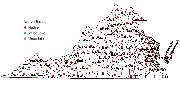 Locations ofAgeratina altissima (L.) King & H.E. Robins. in Virginia