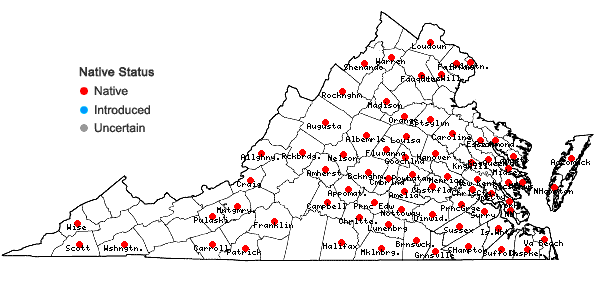 Locations ofAgeratina aromatica (L.) Spach in Virginia