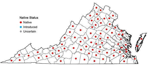 Locations ofAgrimonia rostellata Wallr. in Virginia