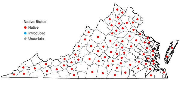 Locations ofAgrimonia rostellata Wallr. in Virginia