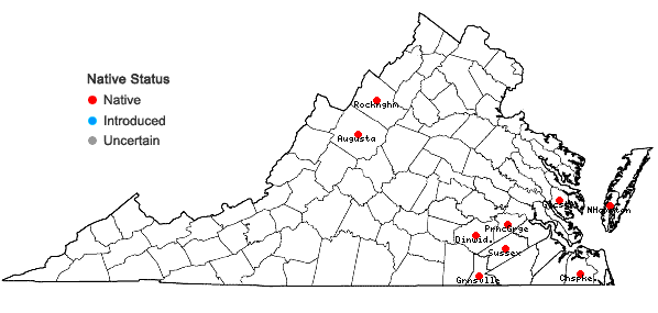 Locations ofAgrostis altissima (Walt.) Tuckerm. in Virginia