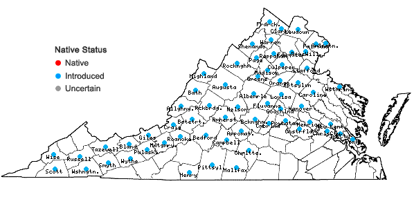 Locations ofAlliaria petiolata (Bieberstein) Cavara & Grande in Virginia