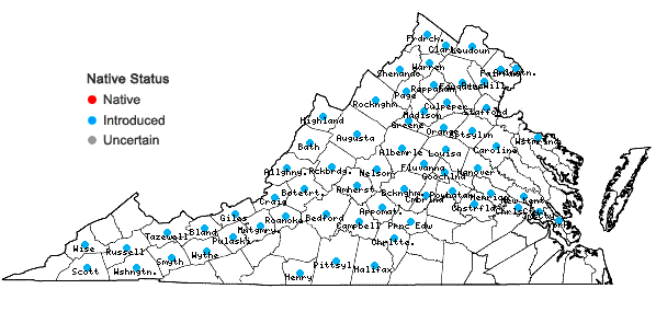 Locations ofAlliaria petiolata (Bieberstein) Cavara & Grande in Virginia