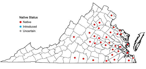 Locations ofAlopecurus carolinianus Walt. in Virginia