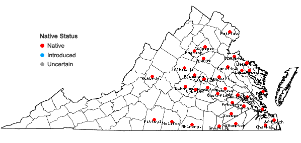 Locations ofAlopecurus carolinianus Walt. in Virginia