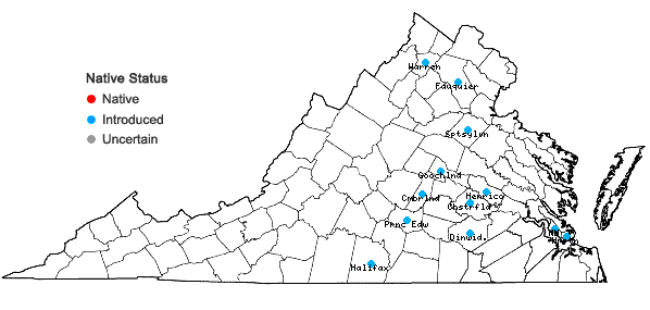 Locations ofAmaranthus palmeri S. Wats. in Virginia