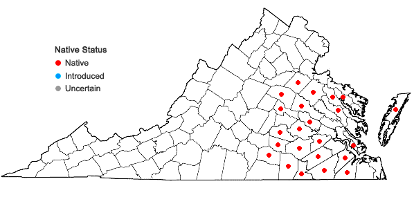 Locations ofAmelanchier obovalis (Michx.) Ashe in Virginia