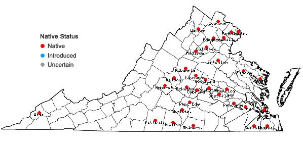 Locations ofAmmannia coccinea Rottb. in Virginia
