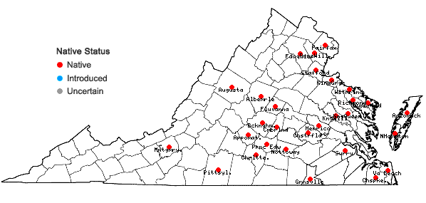 Locations ofAmorpha fruticosa L. in Virginia