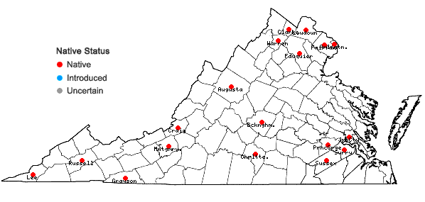 Locations ofAmphicarpaea bracteata (L.) Fern. var. comosa Fassett in Virginia