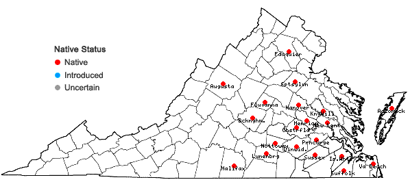 Locations ofAnatherum campbellii (U.B. Deshmukh, M.B. Shende, & E.S. Reddy) E.L. Bridges & Orzell in Virginia