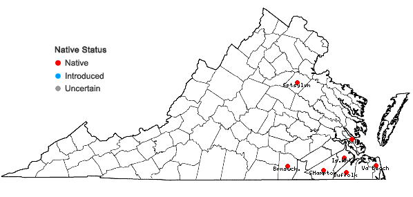 Locations ofAnatherum cretaceum (Weakley & Schori) Weakley & Schori in Virginia