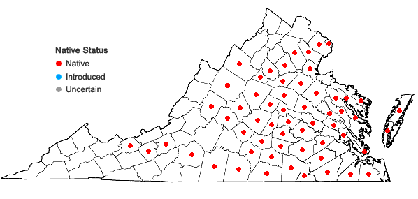 Locations ofAnatherum gyrans (Ashe) Vorontsova & E.A. Kellogg in Virginia