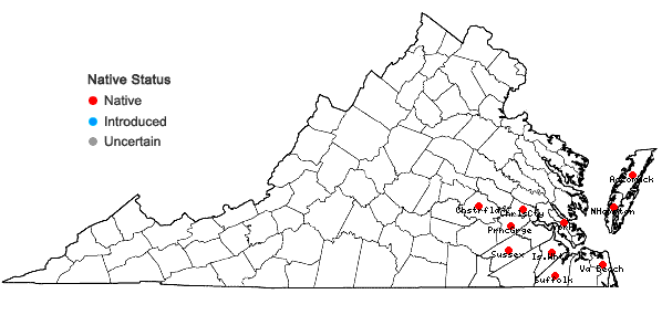 Locations ofAnatherum hirsutius (Hackel) Weakley & LeBlond in Virginia