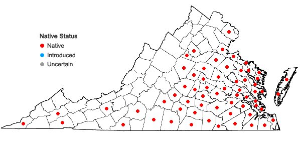Locations ofAnatherum ternarium (Michaux) Vorontsova & E.A. Kellogg in Virginia