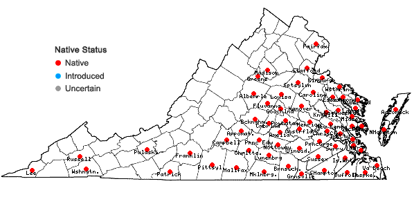 Locations ofAnatherum ternarium (Michaux) Vorontsova & E.A. Kellogg in Virginia