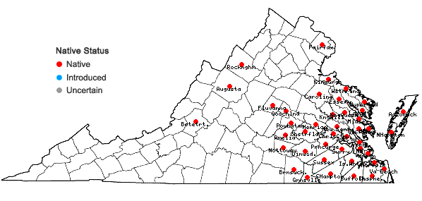 Locations ofAnchistea virginica (L.) Presl in Virginia