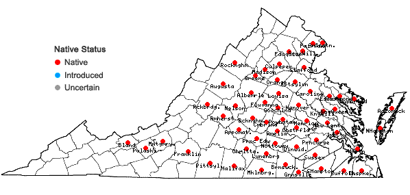 Locations ofAndropogon gyrans Ashe in Virginia