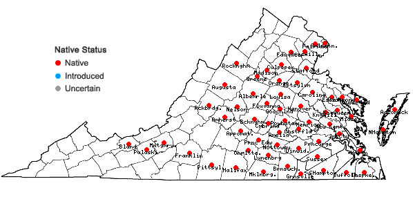 Locations ofAndropogon gyrans Ashe in Virginia