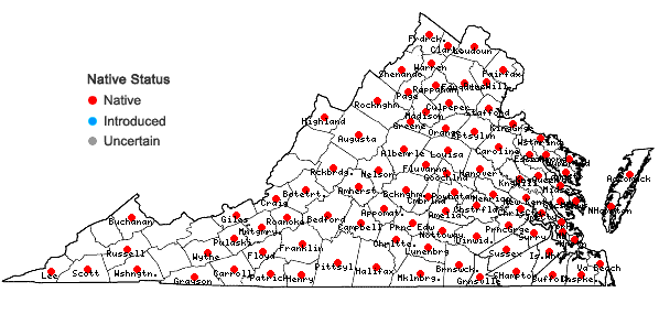 Locations ofAndropogon virginicus L. var. virginicus in Virginia