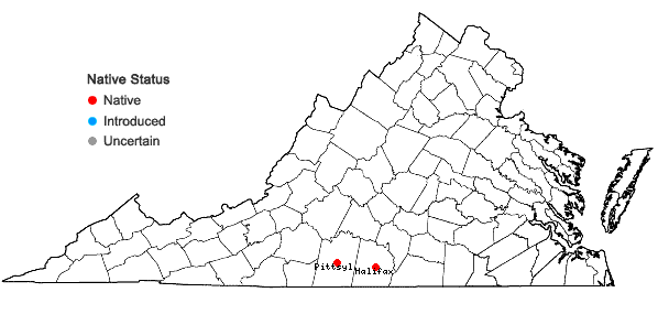 Locations ofAnemone berlandieri Pritz. in Virginia